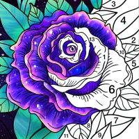 Coloring Book: Color by Number